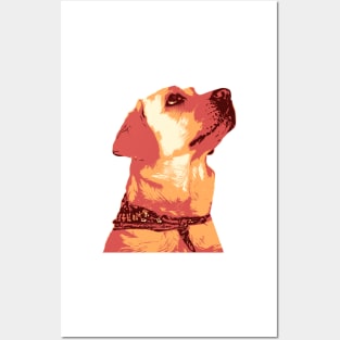 Labrador Dog Bandana Posters and Art